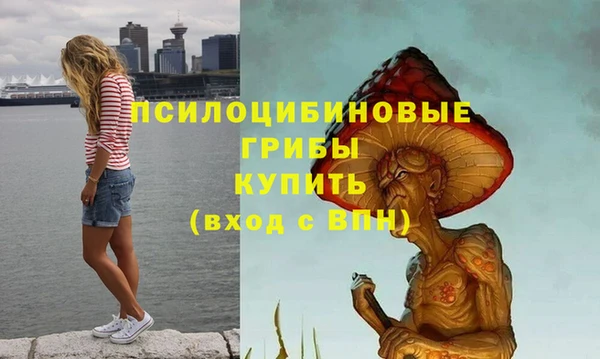 мяу мяу кристалл Коряжма