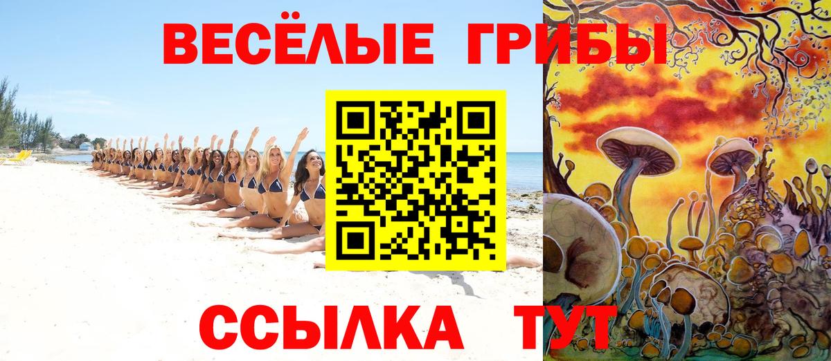 Галлюциногенные грибы Psilocybe  сколько стоит  Одинцово  Вход с VPN 